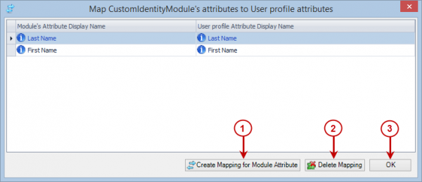 Mapping Module Attributes – Visual Guard