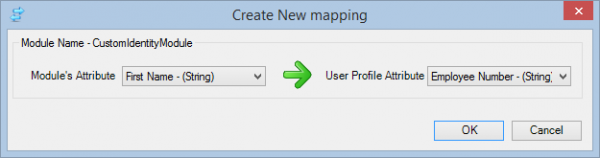 Mapping Module Attributes – Visual Guard