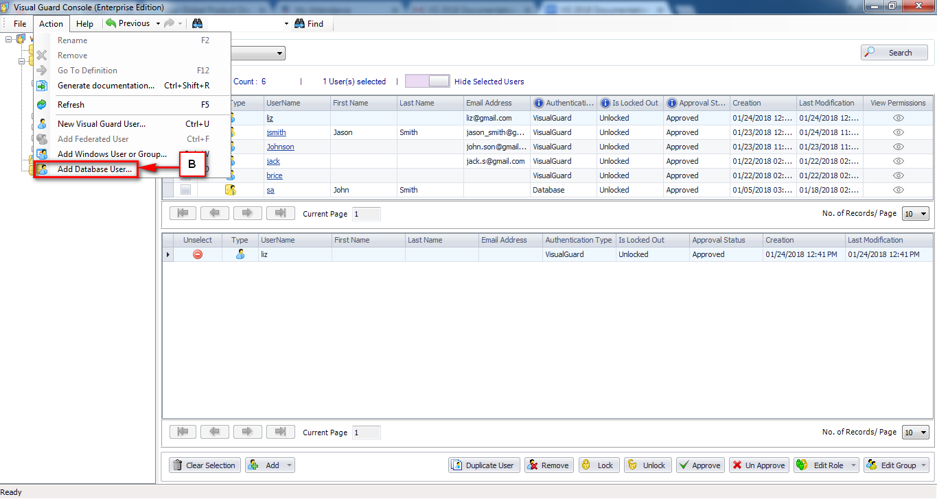 Create a Database User – Visual Guard